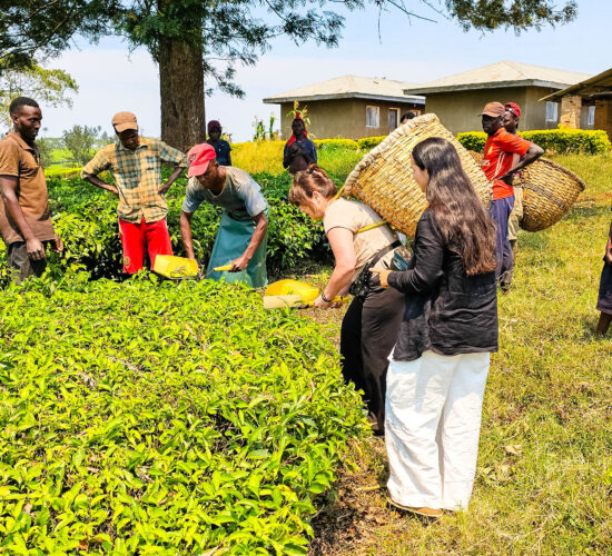 Regenerative Travel in Uganda