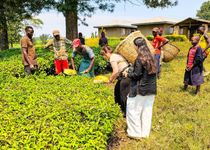 Regenerative Travel in Uganda