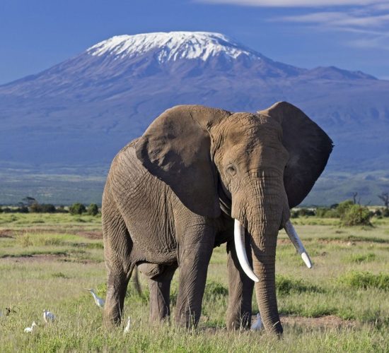 How Difficult Is It to Climb Mount Kilimanjaro