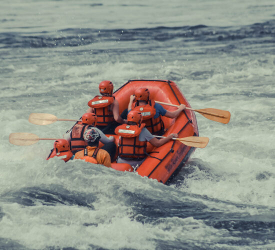 Digital Nomad Safaris