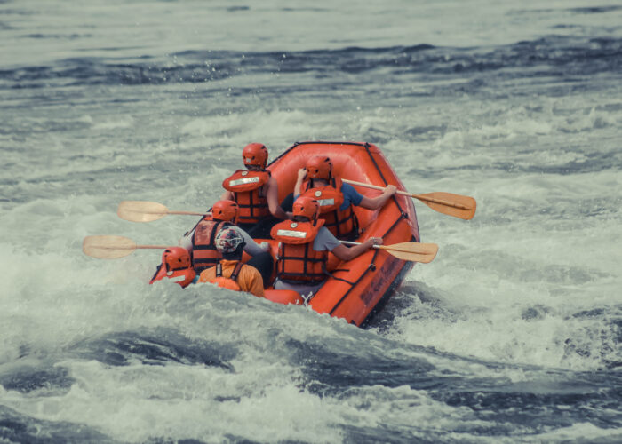 Digital Nomad Safaris