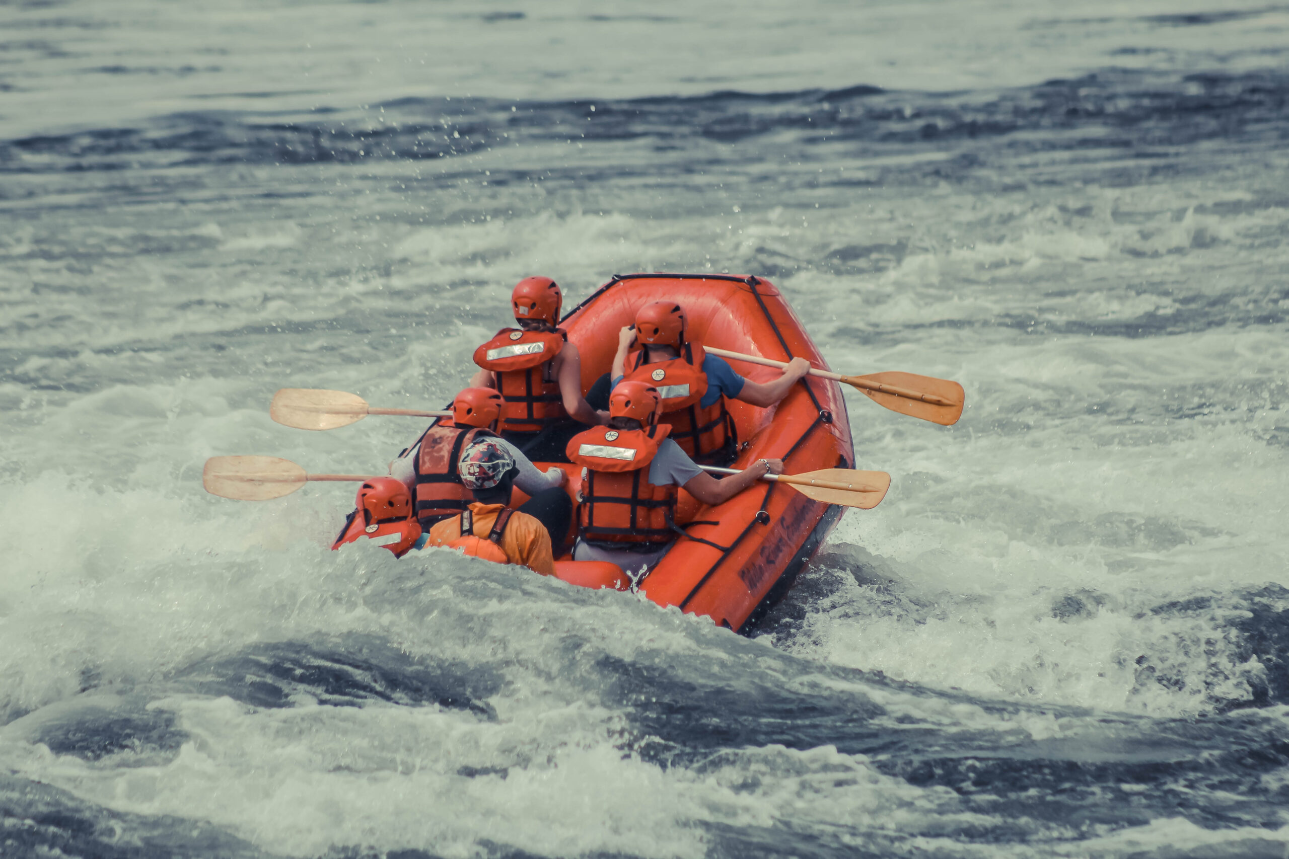 Staying Safe and Respectful on a Safari
