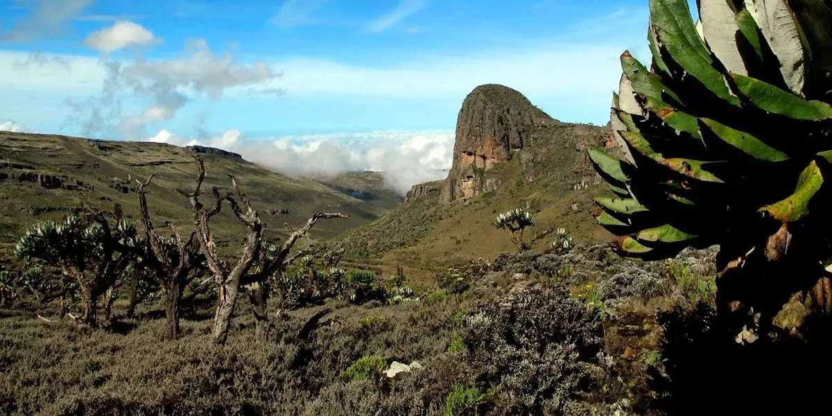 Mount Elgon National Park