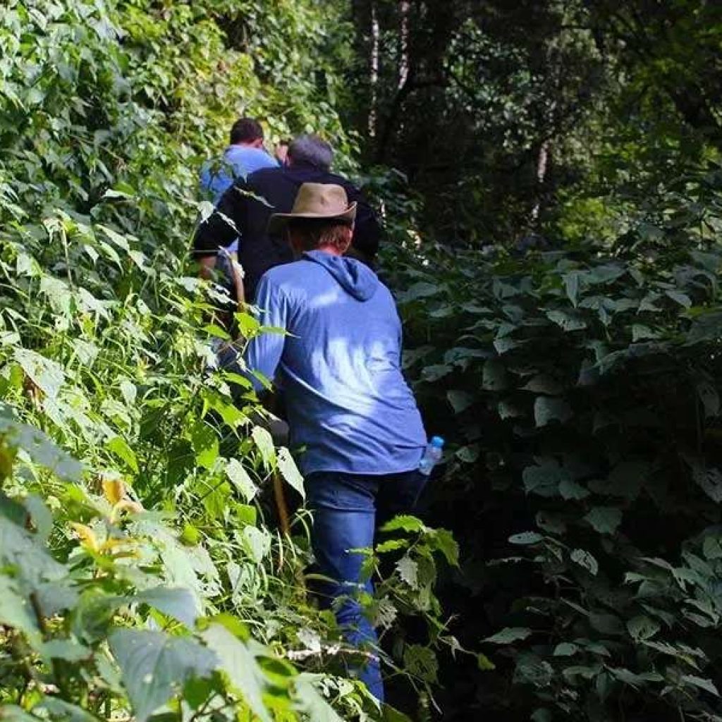 Uganda vs Rwanda gorilla trekking cost comparison