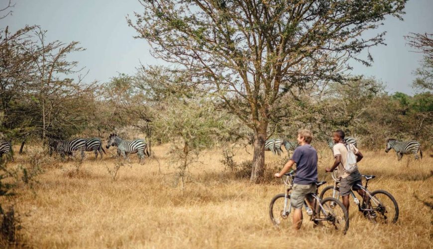 Cheap Uganda Safaris