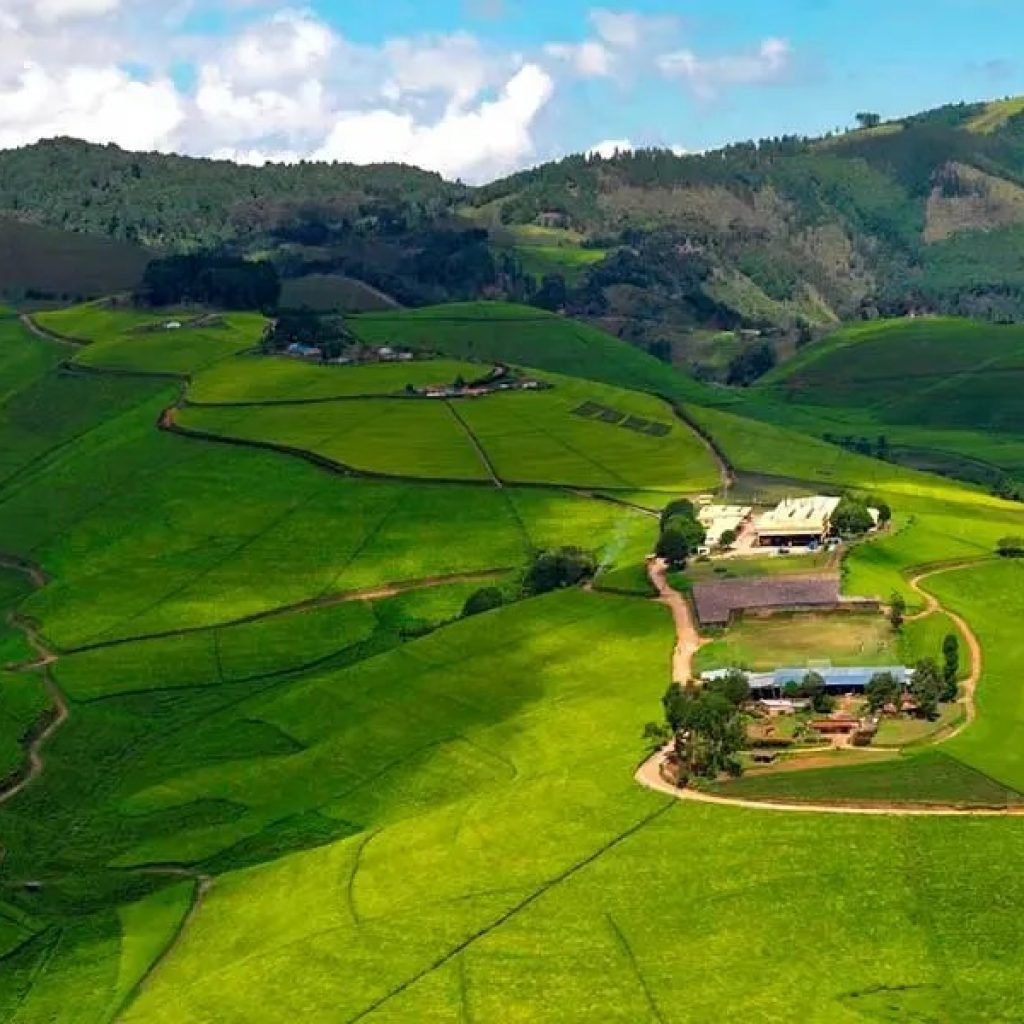 The 2026 Promotional Permit Hack