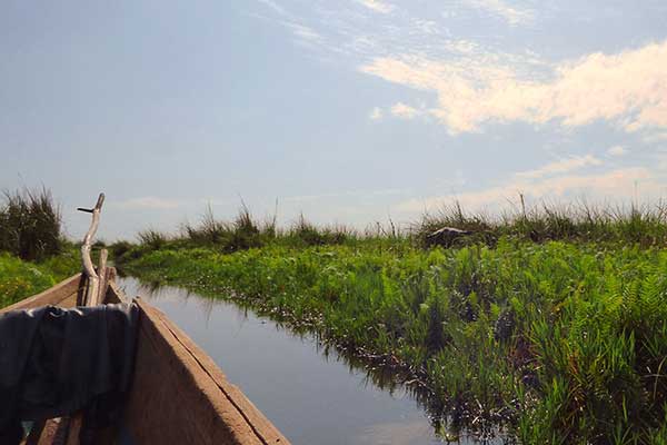 Mabamba Swamp Birding on local wooden canoe.