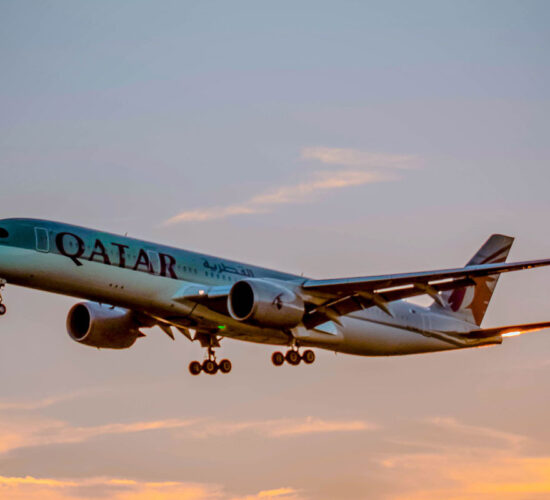 African Safari from America