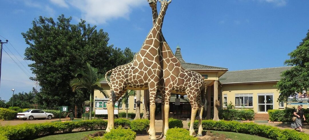 Entebbe Zoo - Uganda Wildlife Education Centre