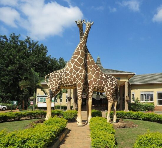Entebbe Zoo - Uganda Wildlife Education Centre