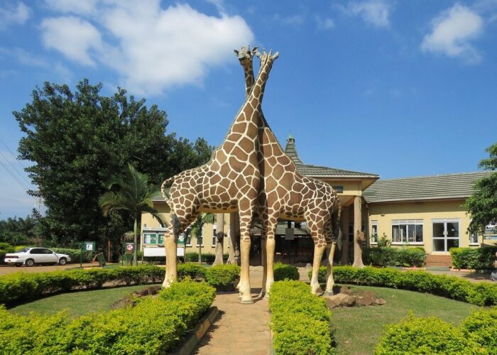 Entebbe Zoo - Uganda Wildlife Education Centre