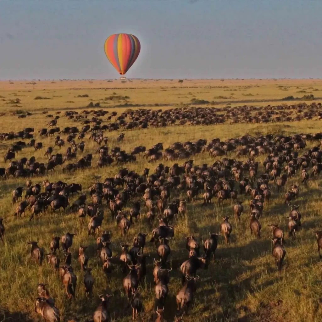 great migration africa