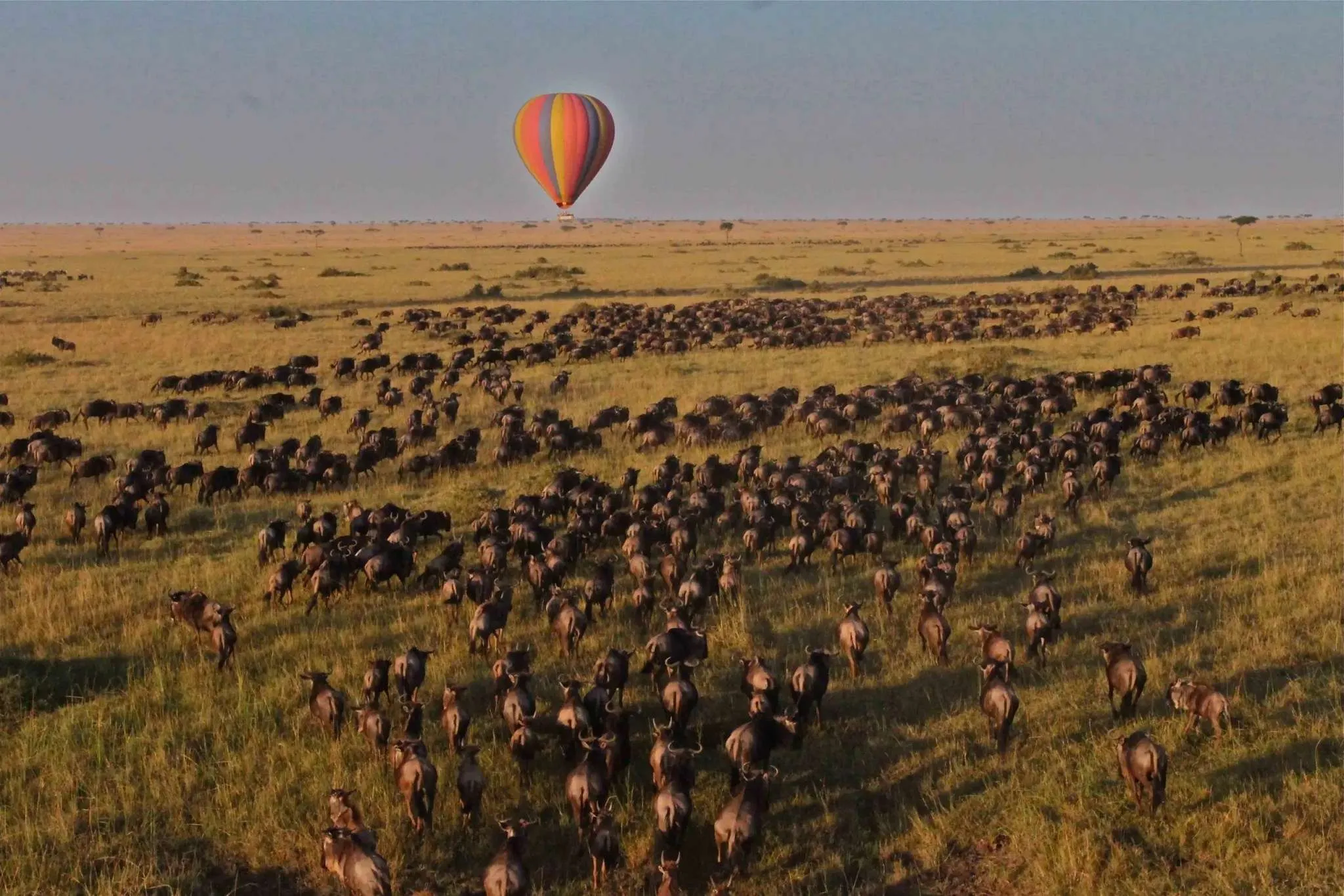 What Are Hot Air Balloon Safaris in Serengeti Like?
