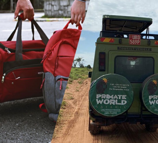 Luggage & packing guide