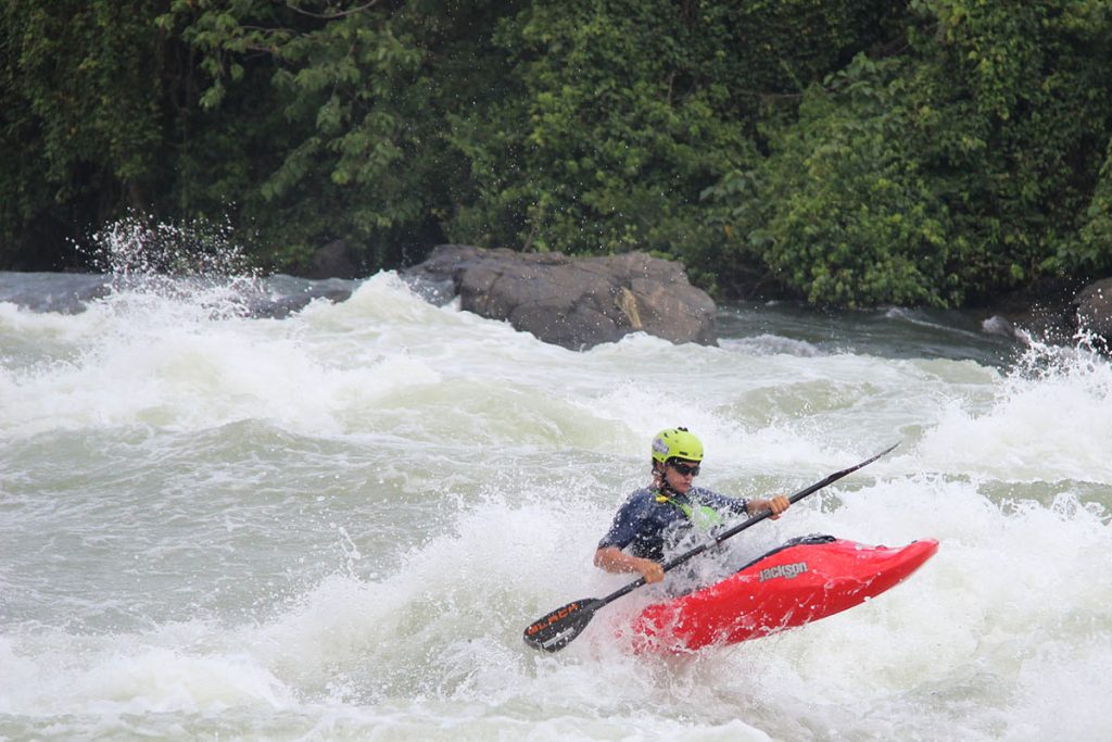 Digital Nomad Safaris