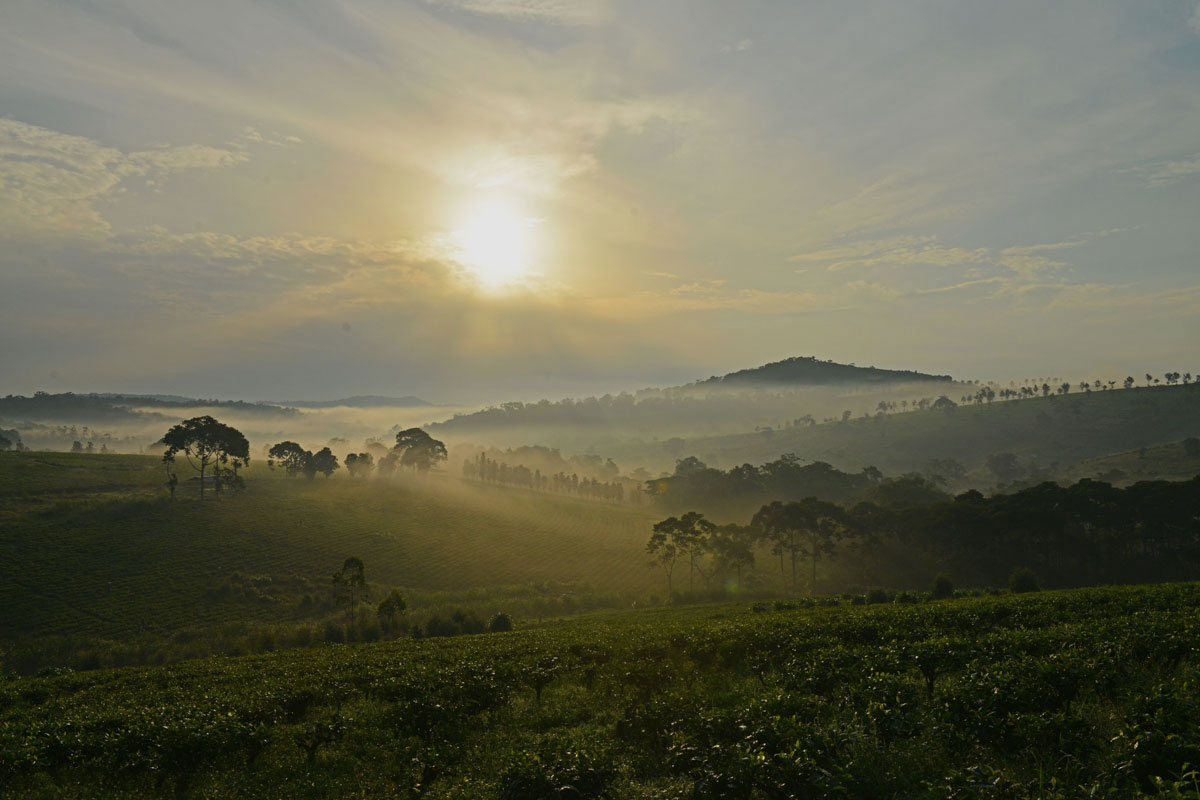 10 reasons to visit uganda