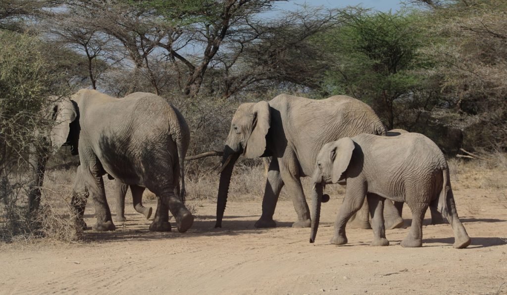 Packing list for Kenya
