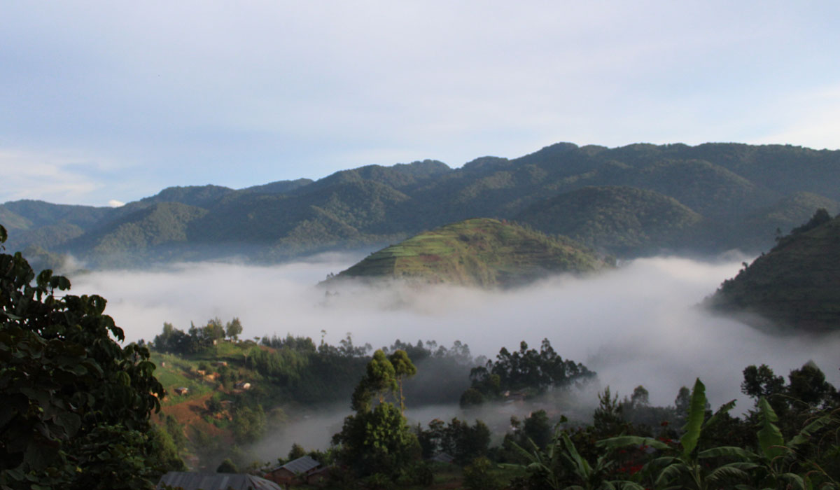 The Volcanoes of Virunga Forest