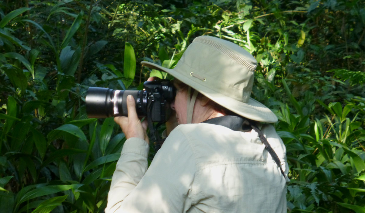 safari photography