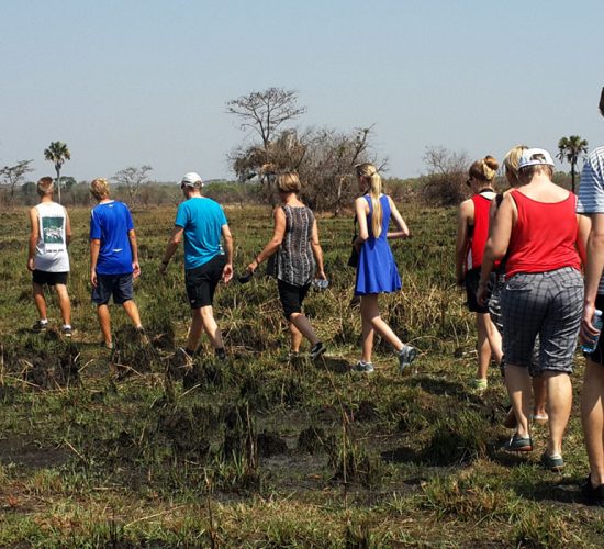 Is 2026 the Year for a Family Safari