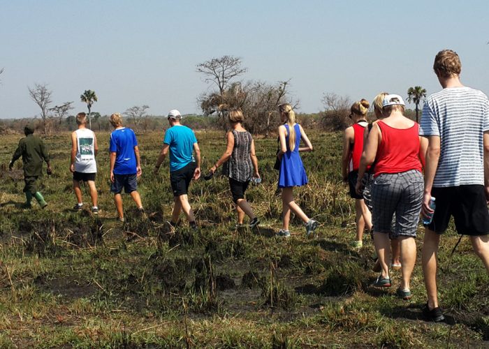 Is 2026 the Year for a Family Safari