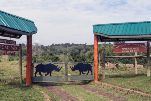 Aberdare National Park