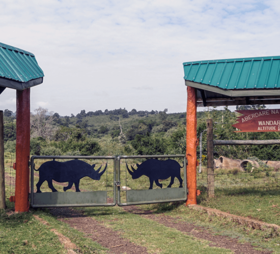 Aberdare National Park