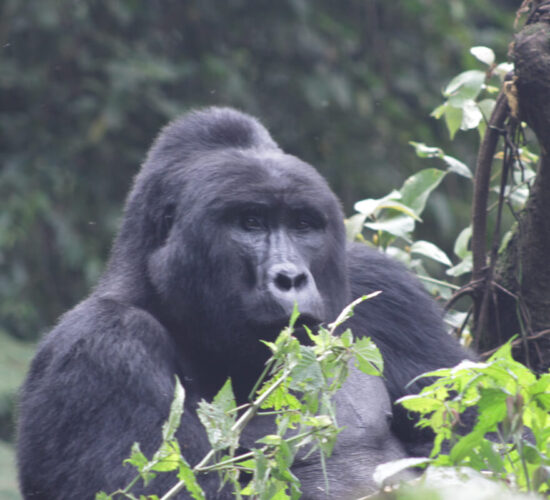 Why You Must Book Your July Permits Before March