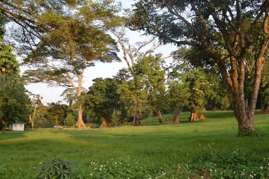 Entebbe Botanical gardens