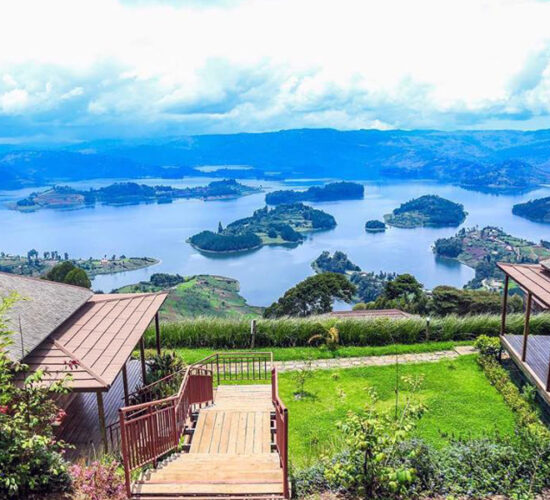 arcadia Bunyonyi