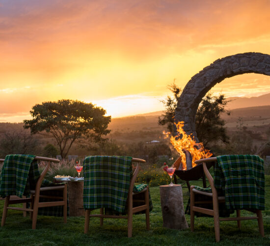 Best 14-Day East Africa Safari Routes