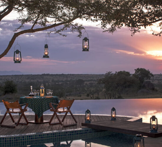 four seasons serengeti evening