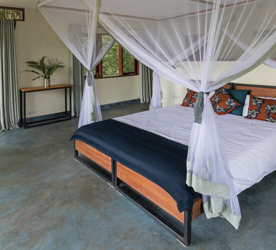 Are There Luxury Lodges Near Queen Elizabeth National Park?