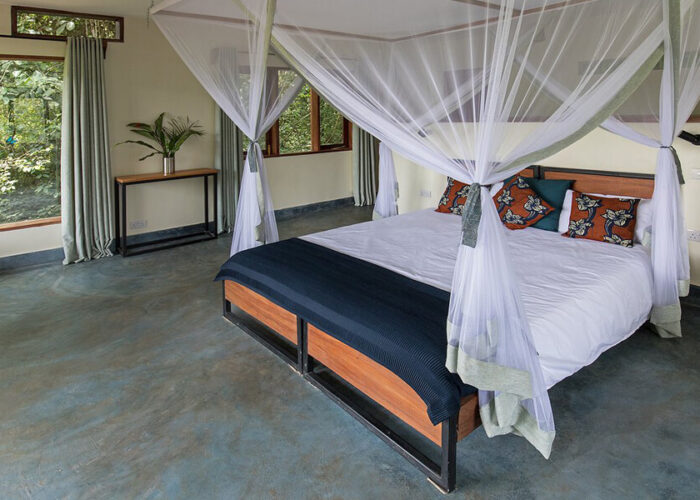 Are There Luxury Lodges Near Queen Elizabeth National Park?