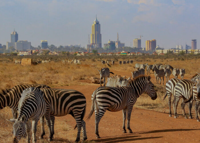 nairobi np city