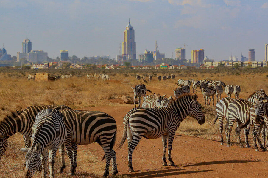 nairobi np city