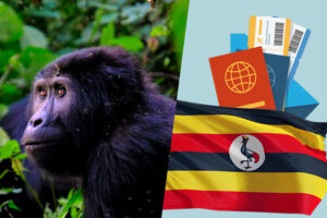 uganda visa tourist visa
