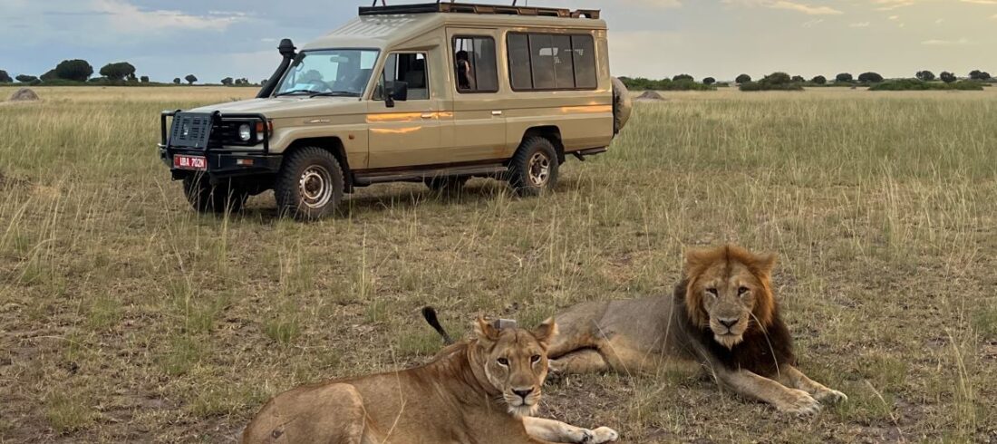 Uganda Luxury Safari