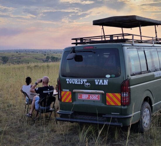 Wildlife & Primates Safari