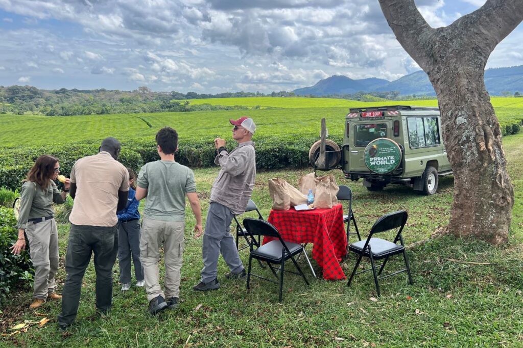 Is 2026 the Year for a Family Safari