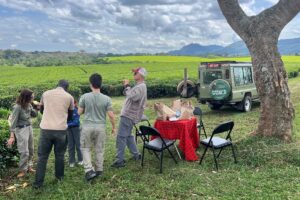 Is 2026 the Year for a Family Safari