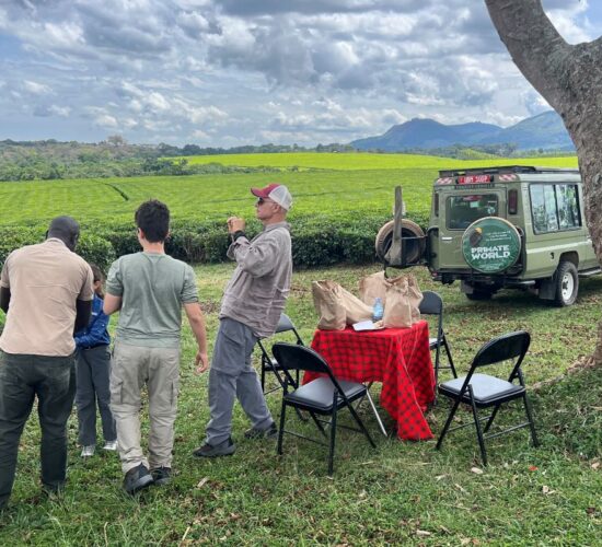Is 2026 the Year for a Family Safari