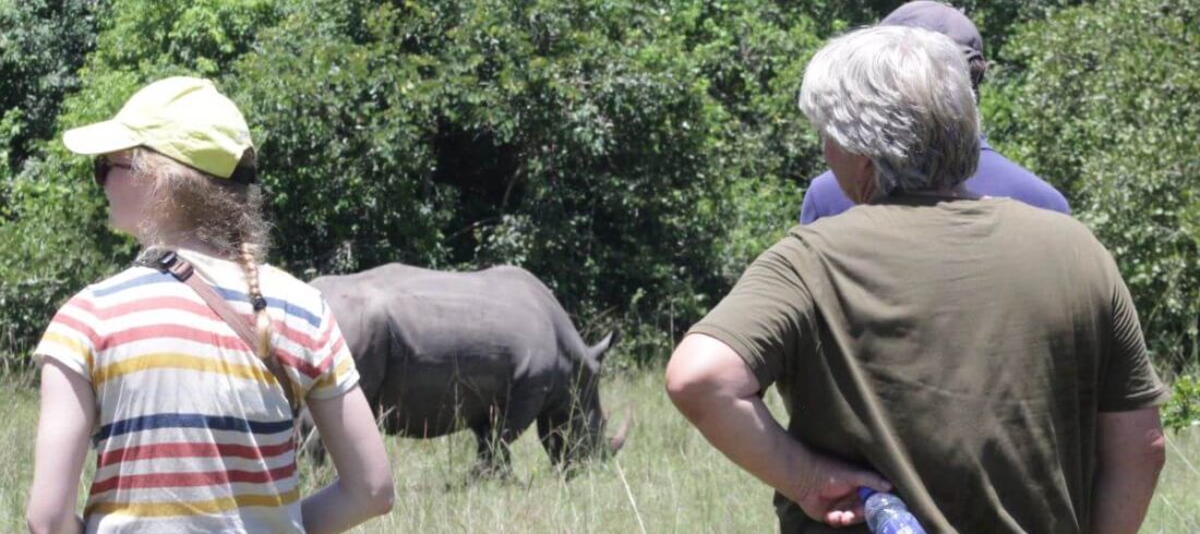 Rhino tracking in Ziwa