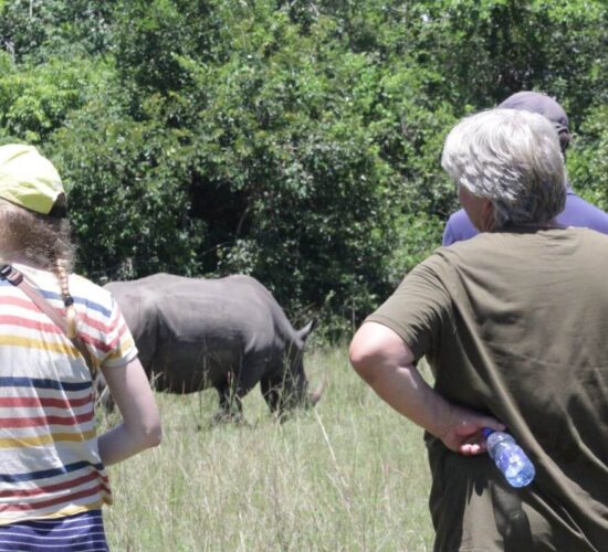 Rhino tracking in Ziwa