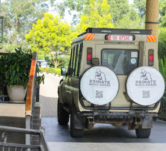 Customizing Your Safari