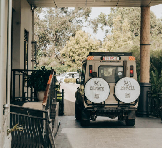 5 Days Northern Tanzania Safari