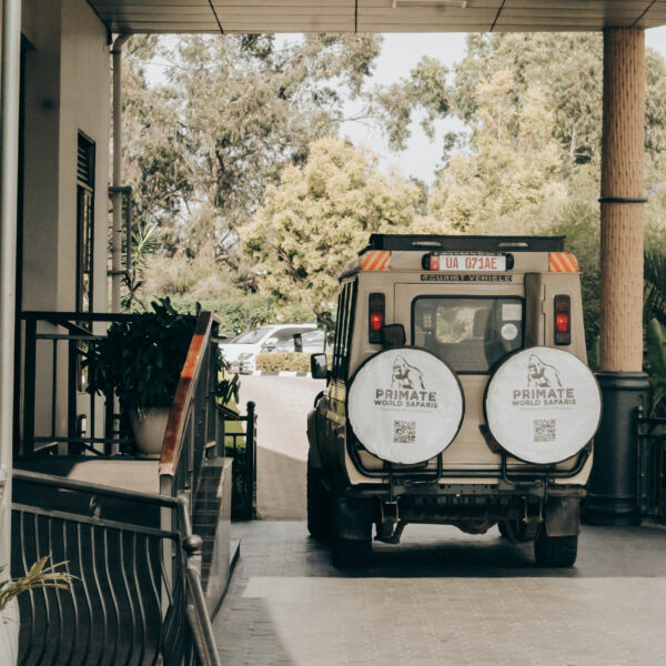 5 Days Northern Tanzania Safari