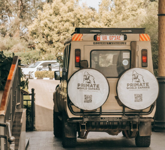 Kigali to Bwindi Road Conditions