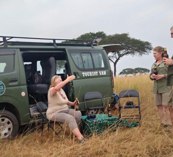 Tanzania Safaris