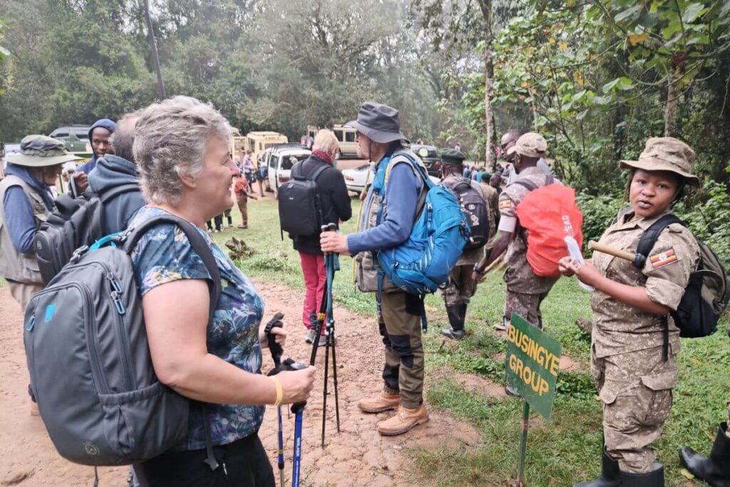 What to Expect During a Gorilla Briefing